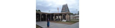 திட்டக்குடி